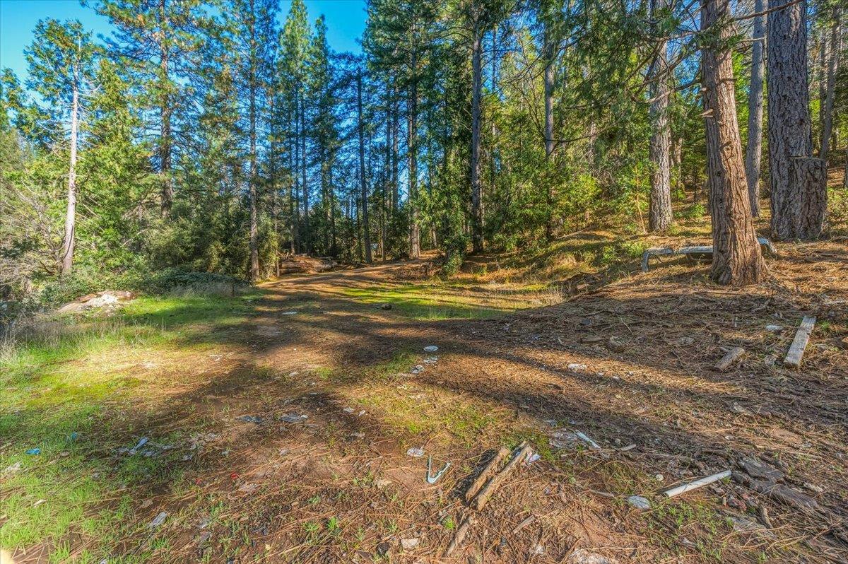 12056 North Bloomfield Road Nevada City, CA 95959 - Photo 33 of 50 a view of a yard with large trees