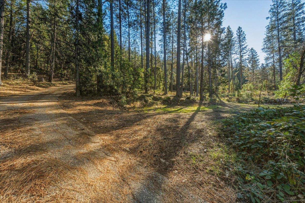 12056 North Bloomfield Road Nevada City, CA 95959 - Photo 34 of 50 a backyard of a house with lots of green space