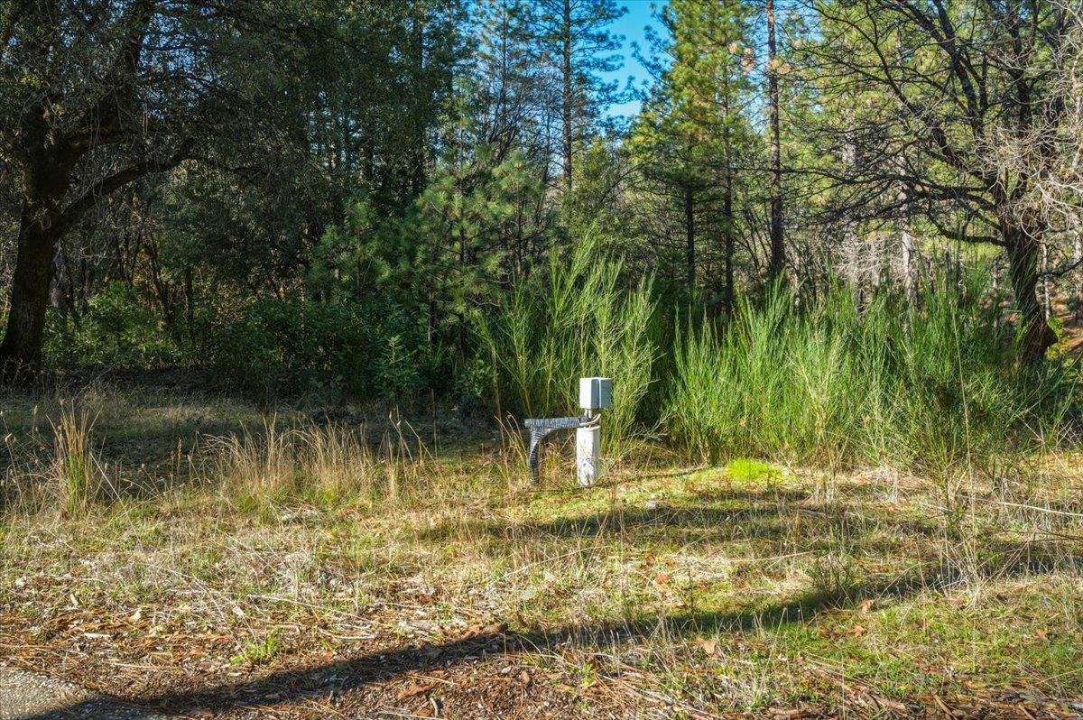 12056 North Bloomfield Road Nevada City, CA 95959 - Photo 35 of 50 a view of lake view
