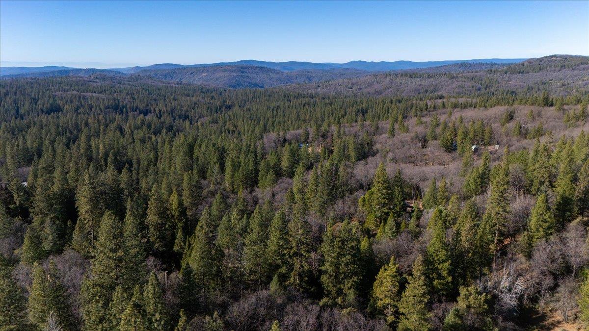 12056 North Bloomfield Road Nevada City, CA 95959 - Photo 36 of 50 a view of a lush green forest with mountains in the background
