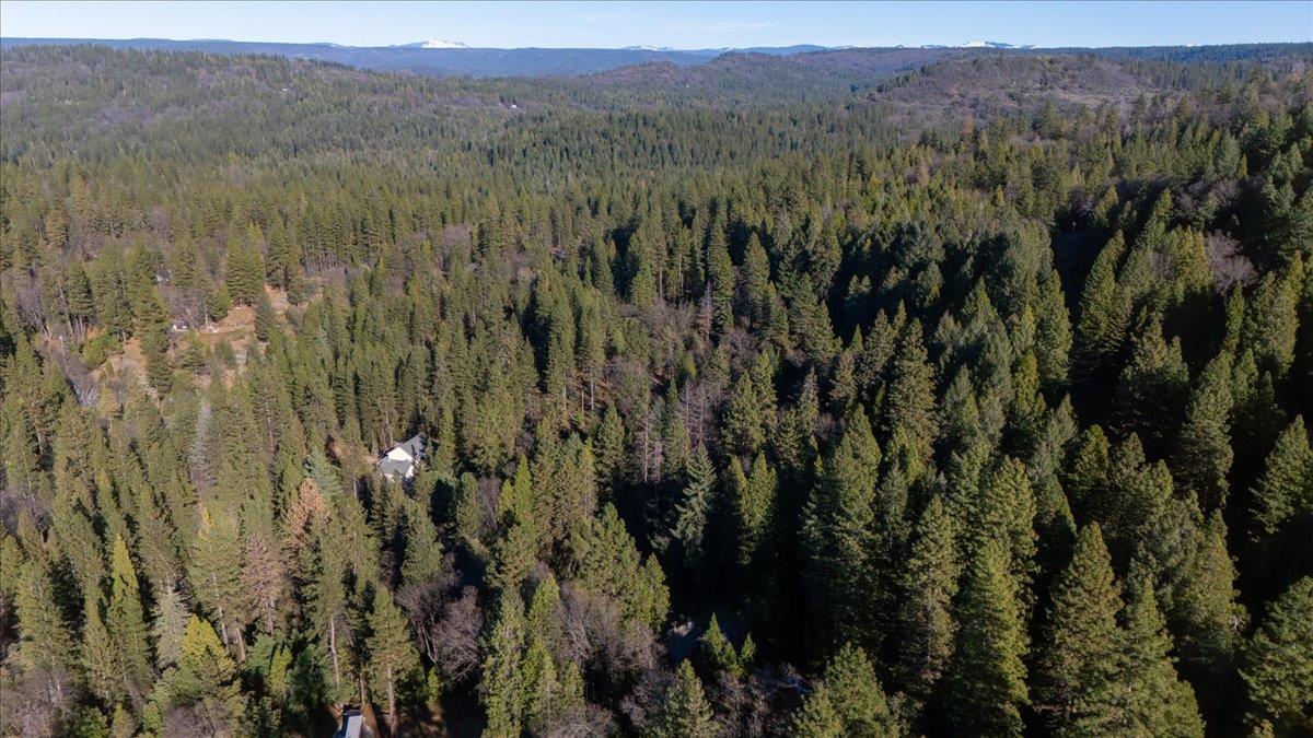 12056 North Bloomfield Road Nevada City, CA 95959 - Photo 37 of 50 a view of a lush green forest with trees and some houses
