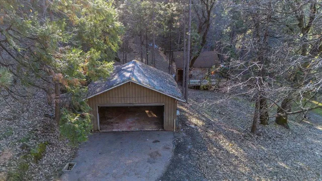 a view of a yard with plants and trees