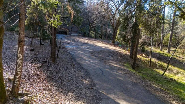 a backyard of a house with lots of green space