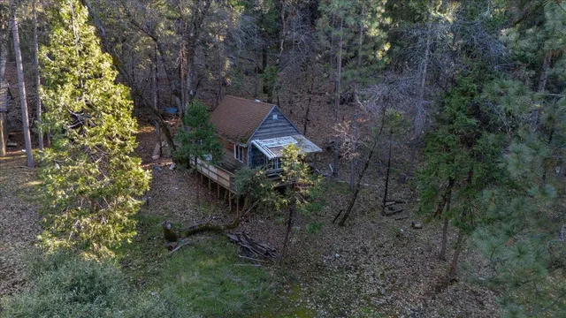 a view of a bunch of flowers