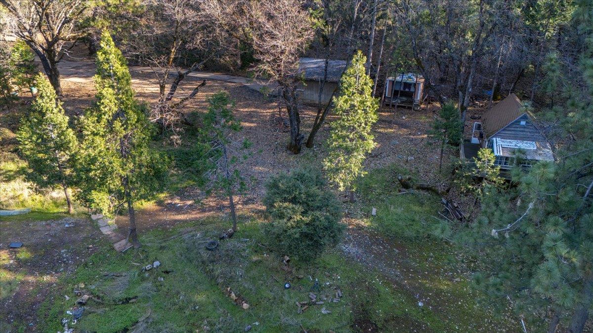 12056 North Bloomfield Road Nevada City, CA 95959 - Photo 43 of 50 a view of yard