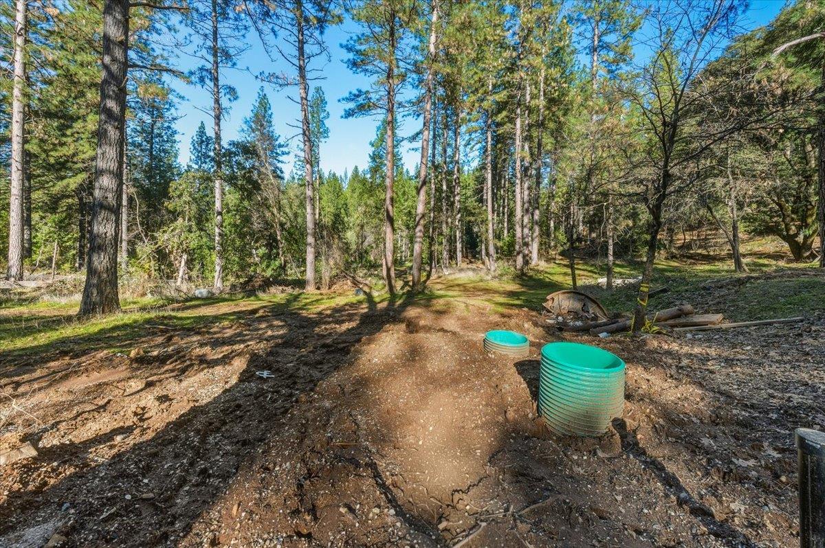 12056 North Bloomfield Road Nevada City, CA 95959 - Photo 6 of 50 a view of a water fountain in a yard