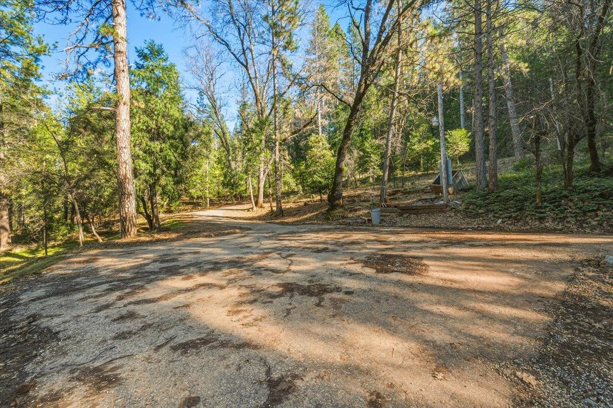 12056 North Bloomfield Road Nevada City, CA 95959 - Photo 8 of 50 a view of a backyard of the house