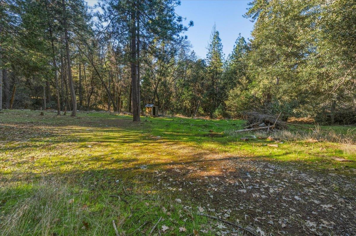 12056 North Bloomfield Road Nevada City, CA 95959 - Photo 9 of 50 a view of a swimming pool with a yard and large trees