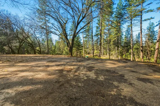 a view of outdoor space with trees