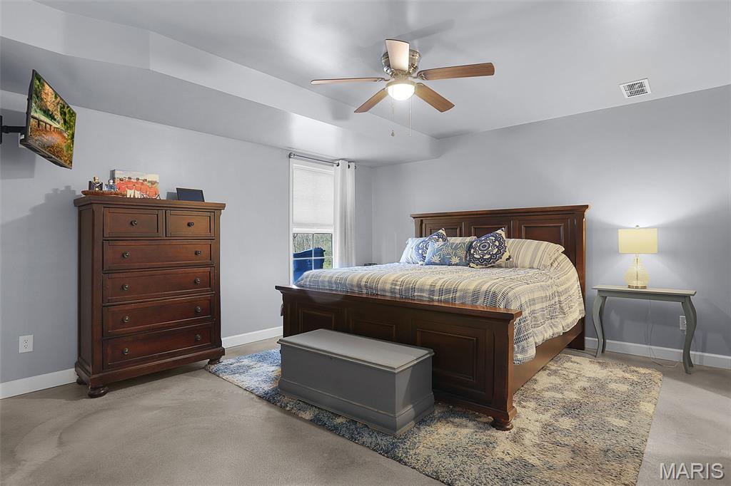 8131 Alhambra Road New Douglas, IL 62074 - Photo 15 of 37