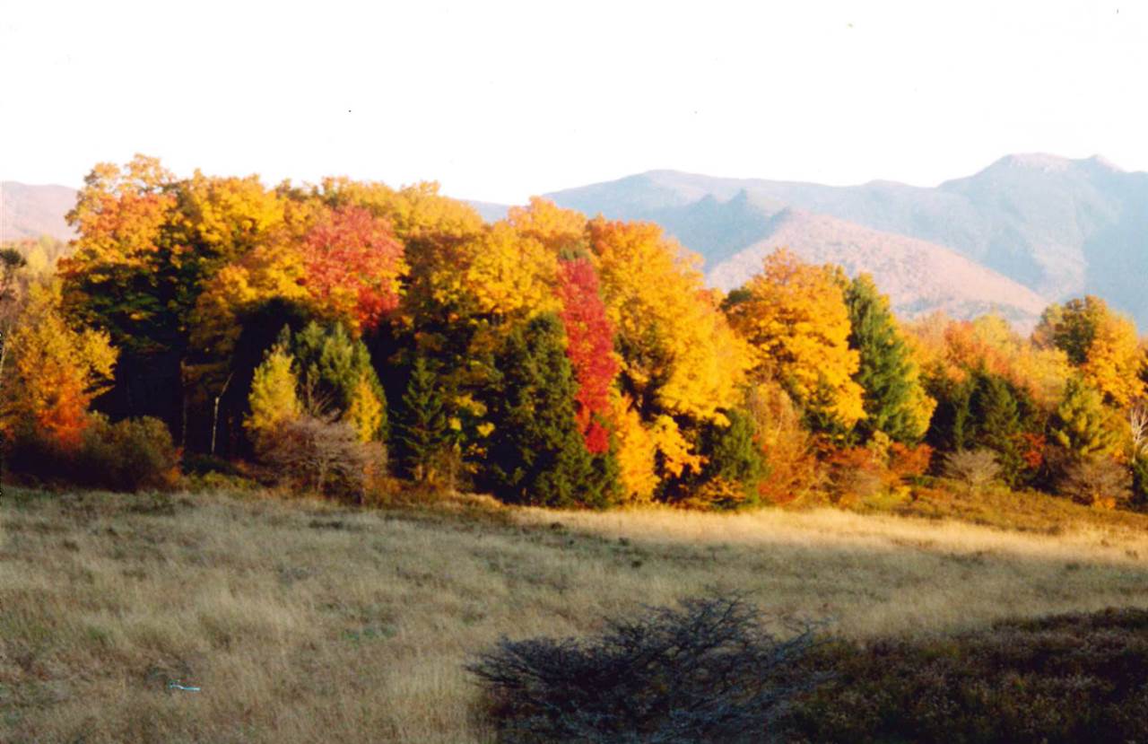 4281 Upper Pleasant Valley Road Cambridge, VT 05444 - Photo 14 of 14 Gallery Image 14