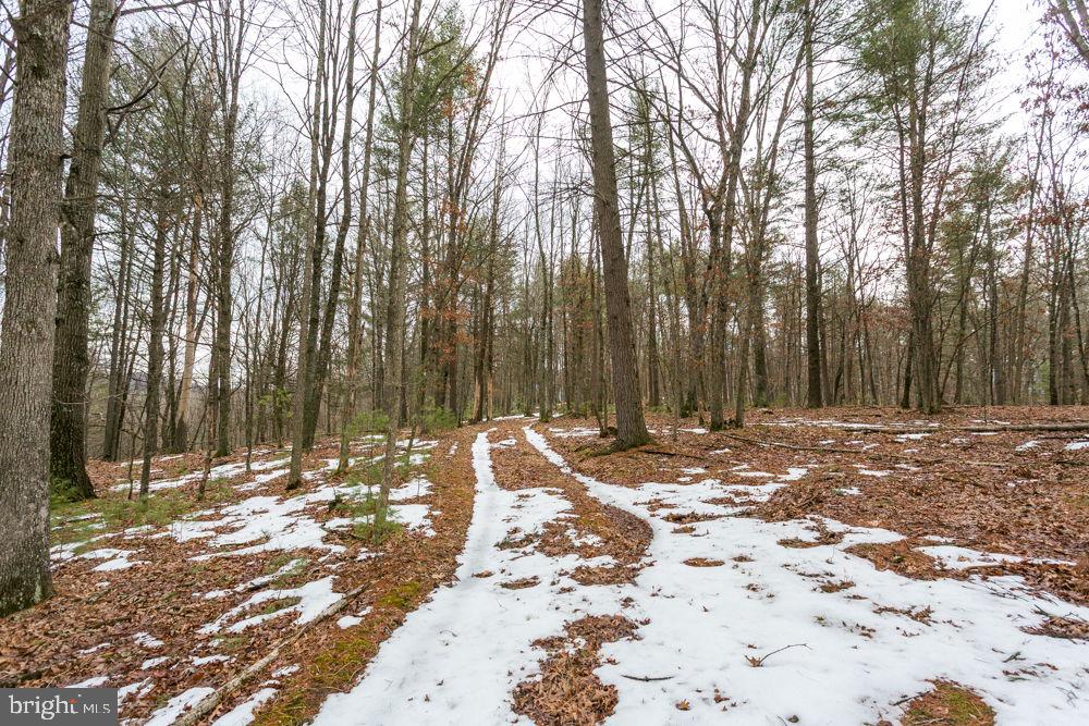 Lot 44 Rainbow Ridge Road Bergton, VA 22811 - Photo 3 of 7 Gallery Image 3