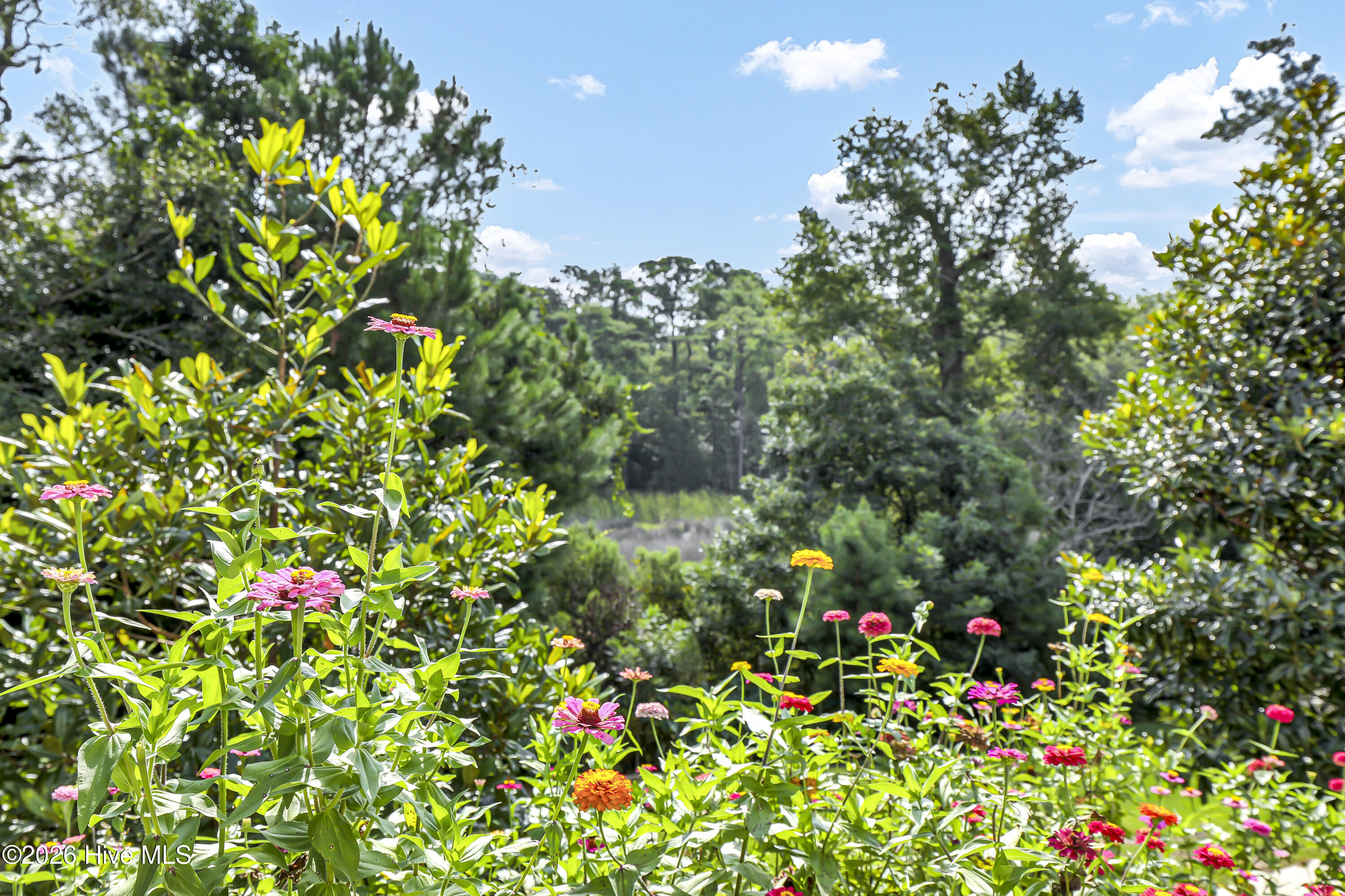 630 Ravenswood Road Hampstead, NC 28443 - Photo 69 of 92 Gallery Image 69