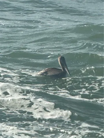 a view of water heater of a yard