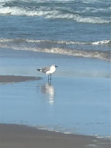 a view of a two chairs in a balcony