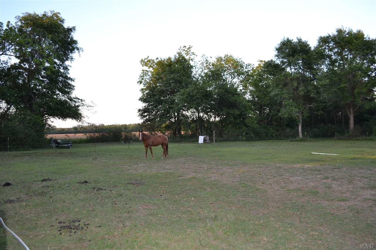 800 Griswold Road Jay, FL 32565 - Photo 23 of 29