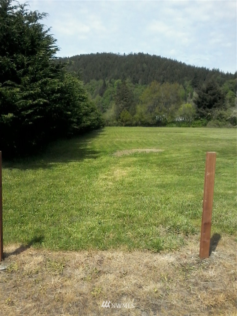 148 Camp 1 Road Raymond, WA 98577 - Photo 4 of 18 Gallery Image 4