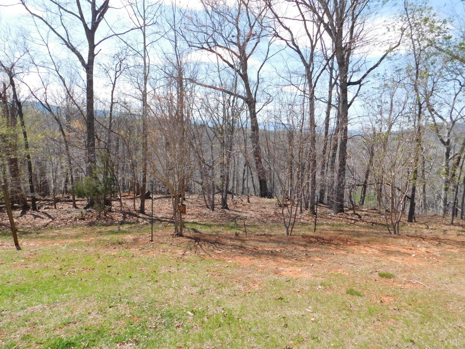 320 Ruth Drive Madison Heights, VA 24572 - Photo 16 of 60