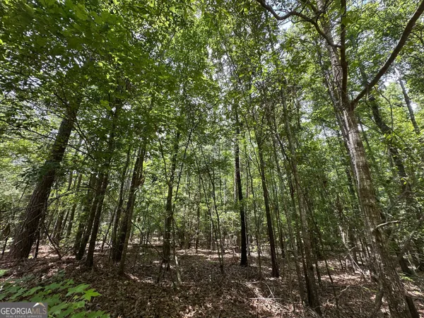 $87,500 | 9.82-acres Springfield Road, Sparta, GA 31087