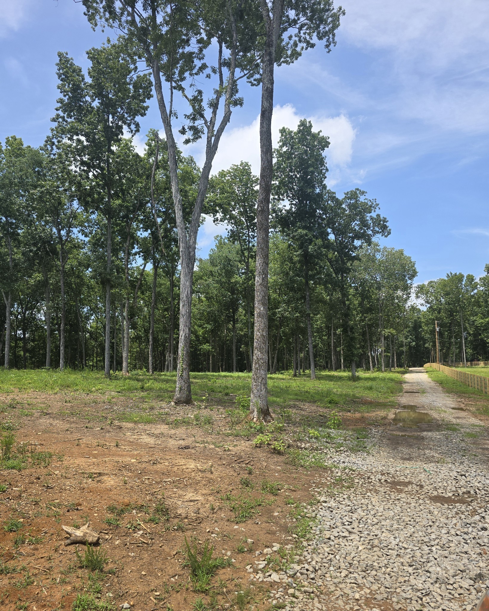 4821 Kedron Road Spring Hill, TN 37174 - Photo 61 of 71