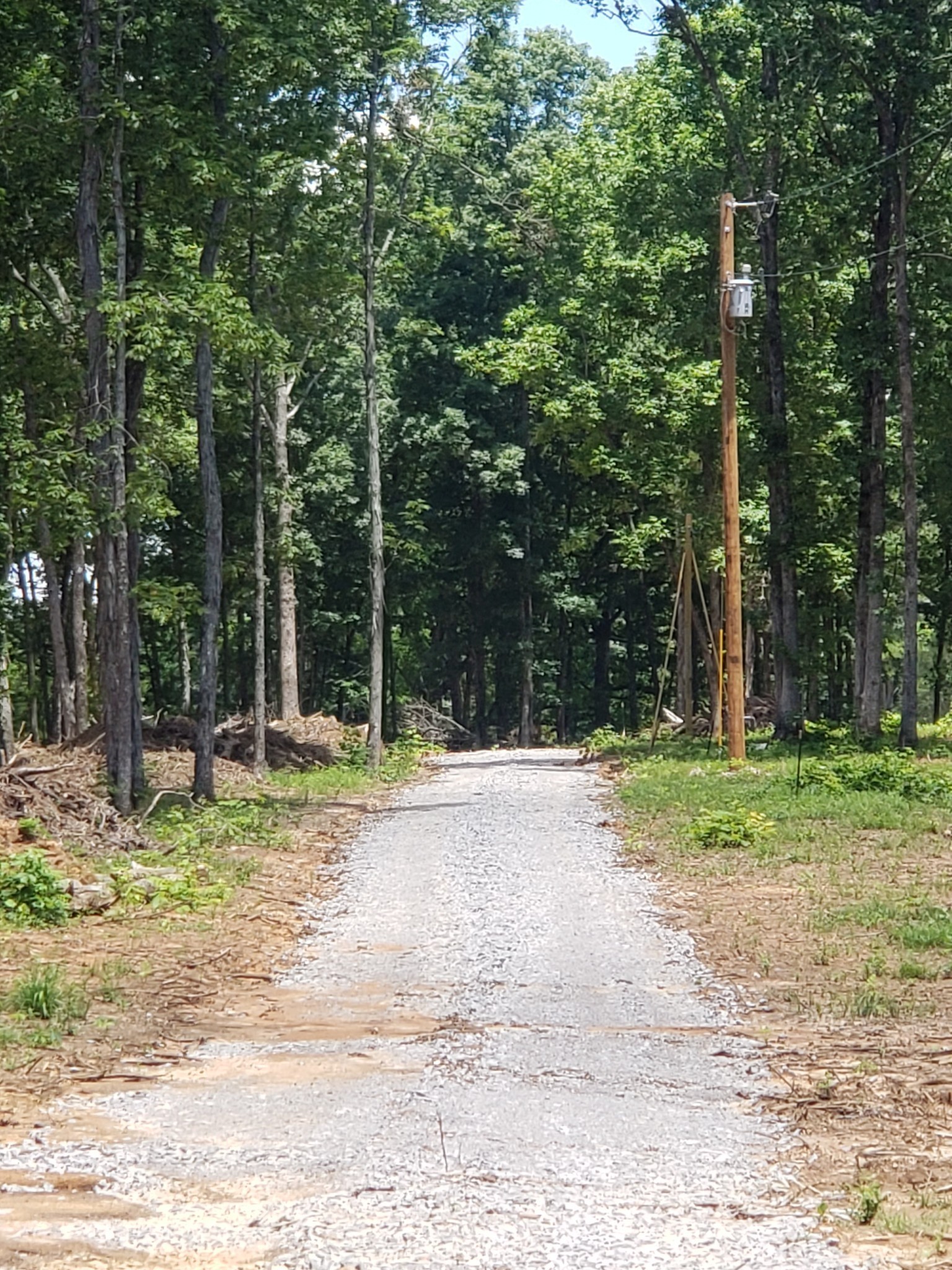 4821 Kedron Road Spring Hill, TN 37174 - Photo 62 of 71 a backyard of a house with large trees and wooden fence