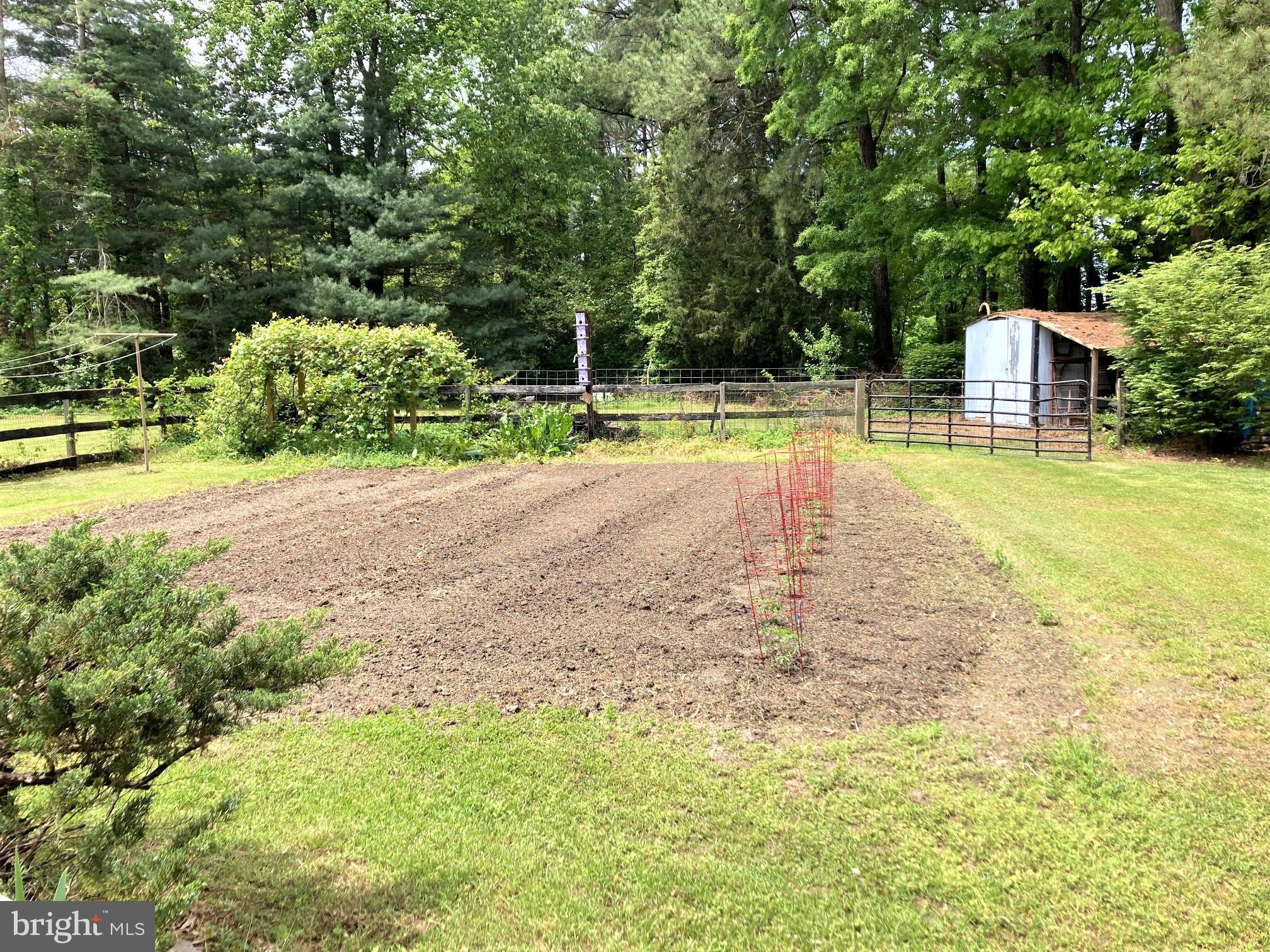 6125 Sandy Point Road Prince Frederick, MD 20678 - Photo 46 of 56 40-yr estab. grape vines & lg planted garden 4-U