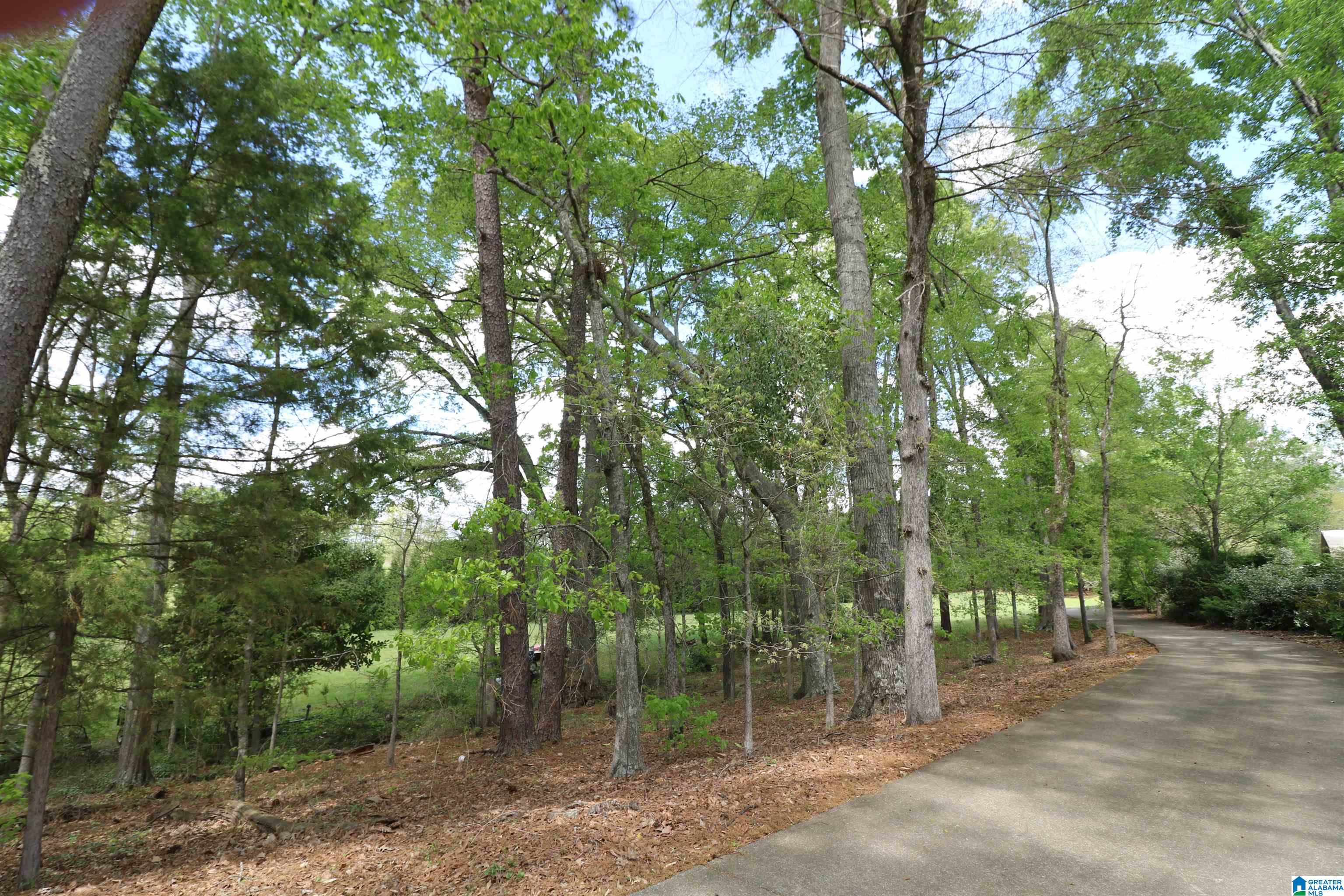 210 Roberts Circle Lincoln, AL 35096 - Photo 55 of 72