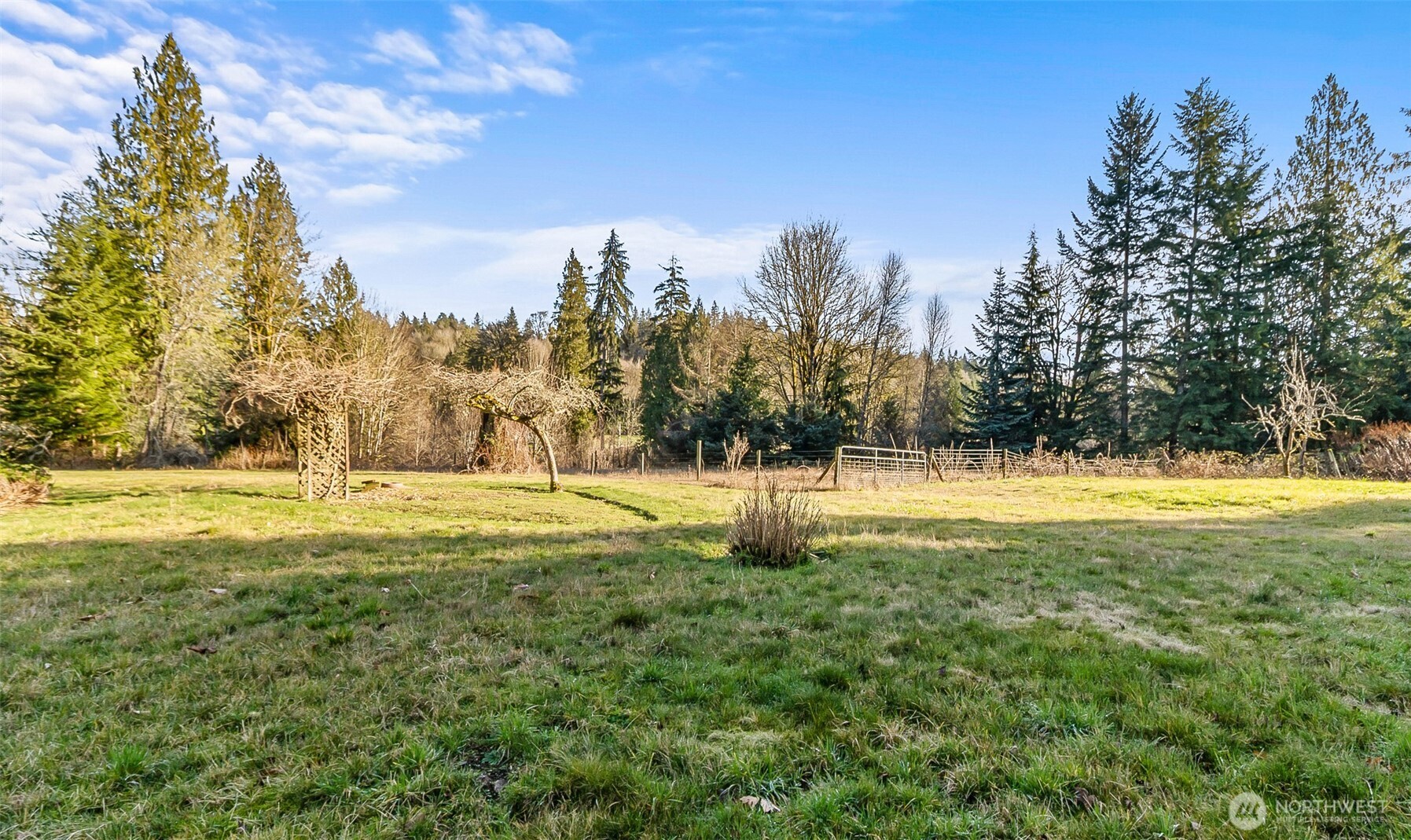 14630 High Bridge Road Monroe, WA 98272 - Photo 22 of 40 a view of yard with large trees