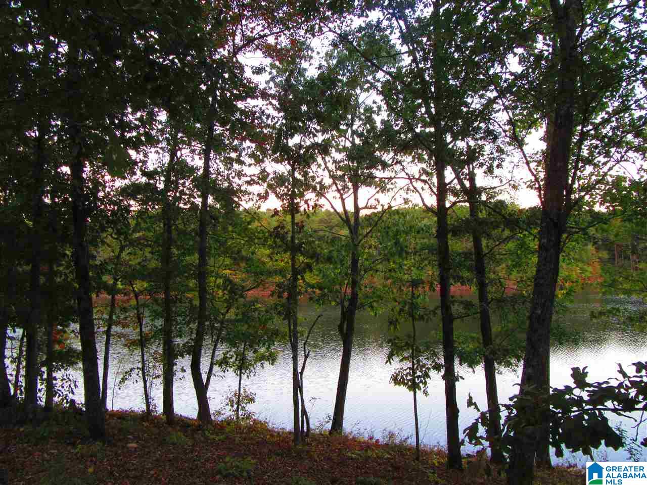 281 Wedowee Al, Unit 1 Wedowee, AL 36278 - Photo 1 of 3