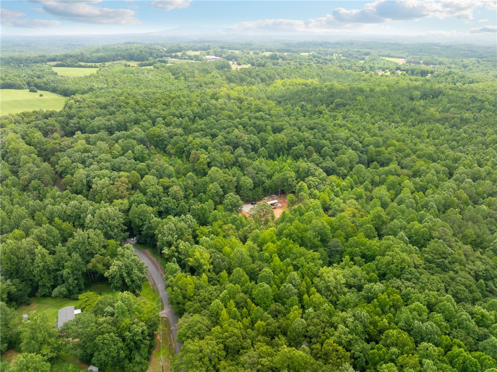 130 Chandler Road Easley, SC 29640 - Photo 16 of 24 An aerial perspective reveals a private, wooded setting with a winding road leading to secluded properties.