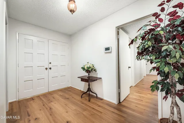 a view of a livingroom with wooden floor and a potted plant