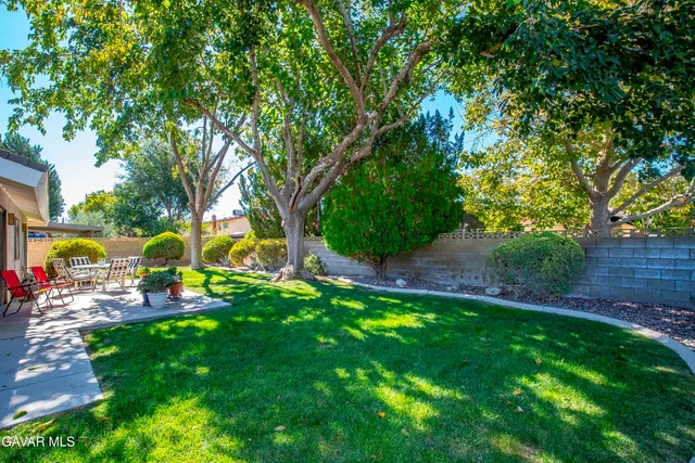 a view of a park with large trees