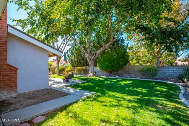 a view of a backyard with large trees