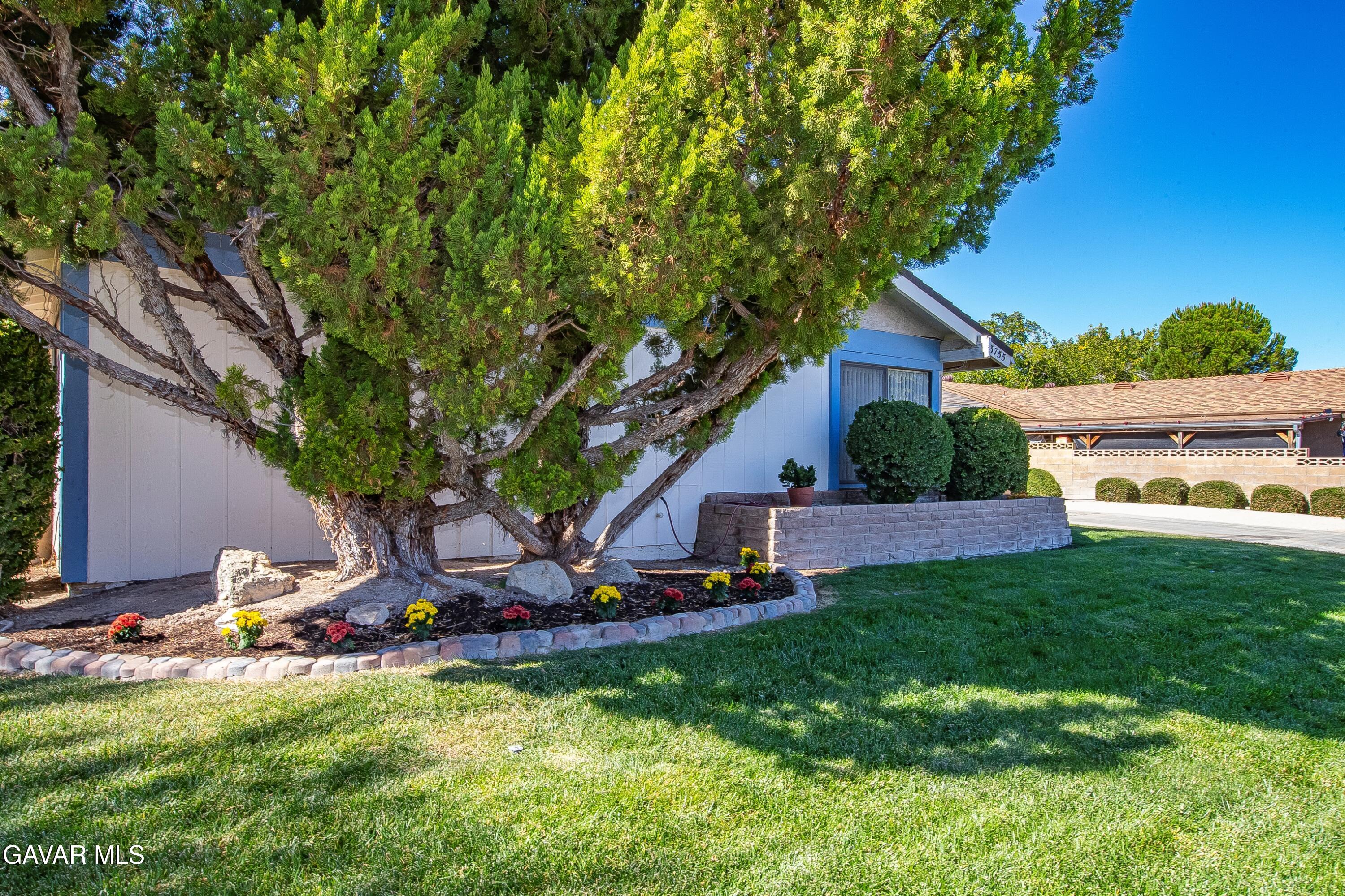 43755 Sentry Lane Lancaster, CA 93536 - Photo 36 of 36 a view of a house with backyard