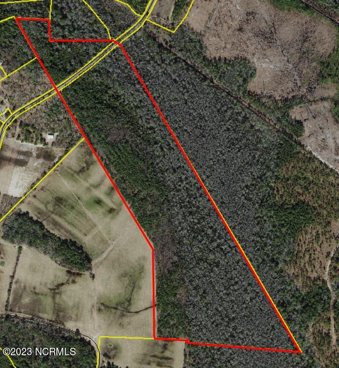 98-acres Braxton Edge Rd  