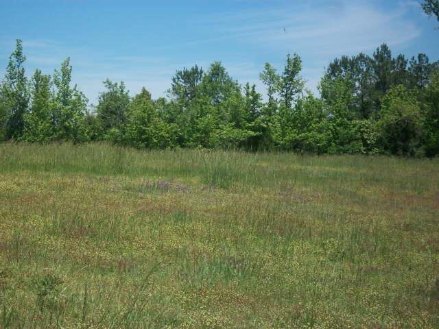 6609 Country Club Road Lanett, AL 36863 - Photo 1 of 1 Gallery Image 1