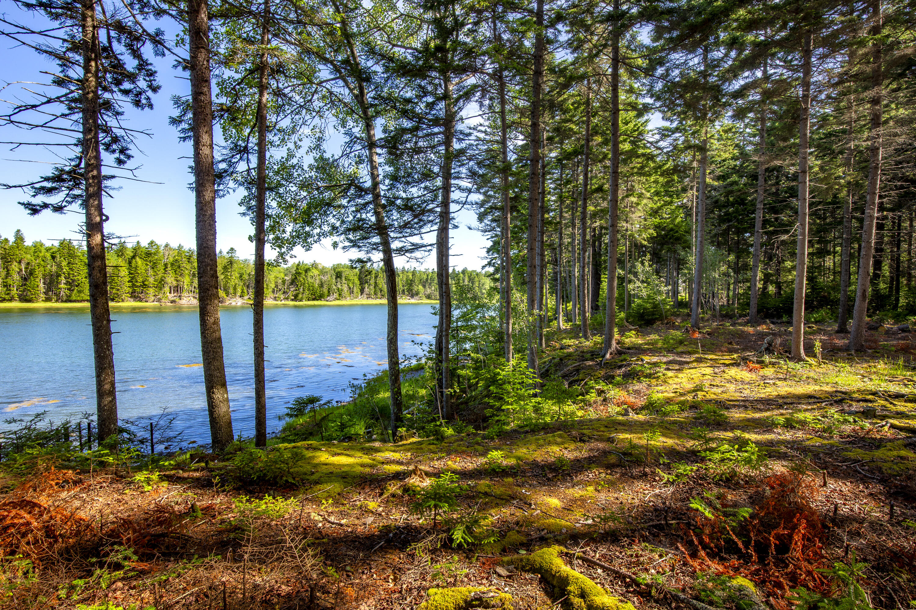 M15-l20-tbd Golf Club Road Islesboro, ME 04848 - Photo 14 of 41 02-0GolfClubRoad-Islesboro-KS