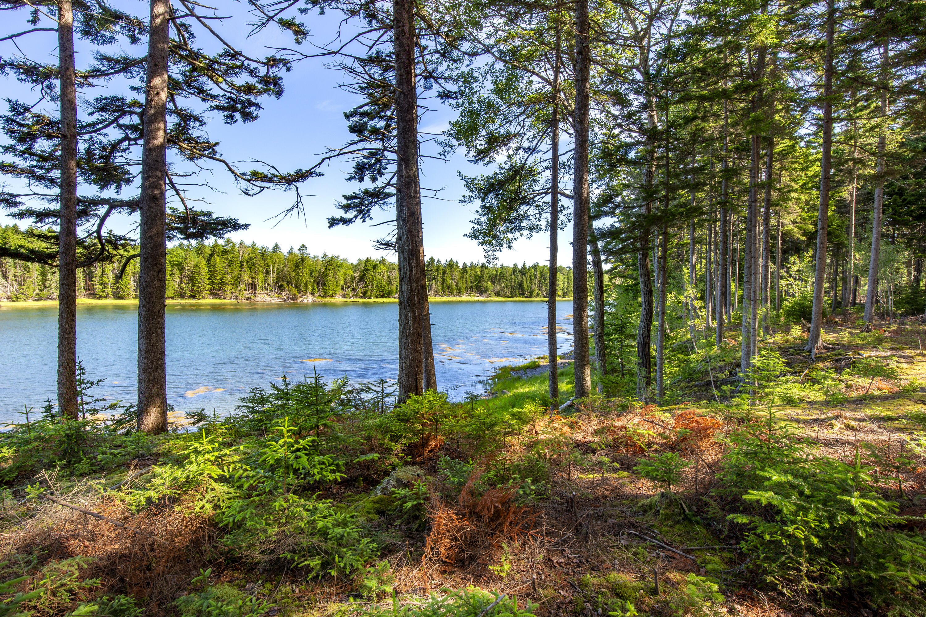 M15-l20-tbd Golf Club Road Islesboro, ME 04848 - Photo 17 of 41 05-0GolfClubRoad-Islesboro-KS