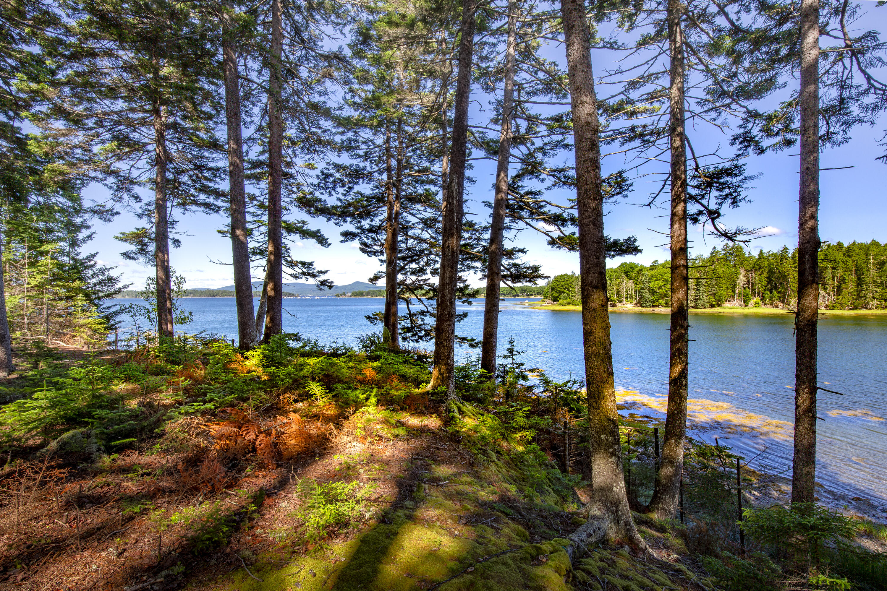 M15-l20-tbd Golf Club Road Islesboro, ME 04848 - Photo 25 of 41 17-0GolfClubRoad-Islesboro-KS
