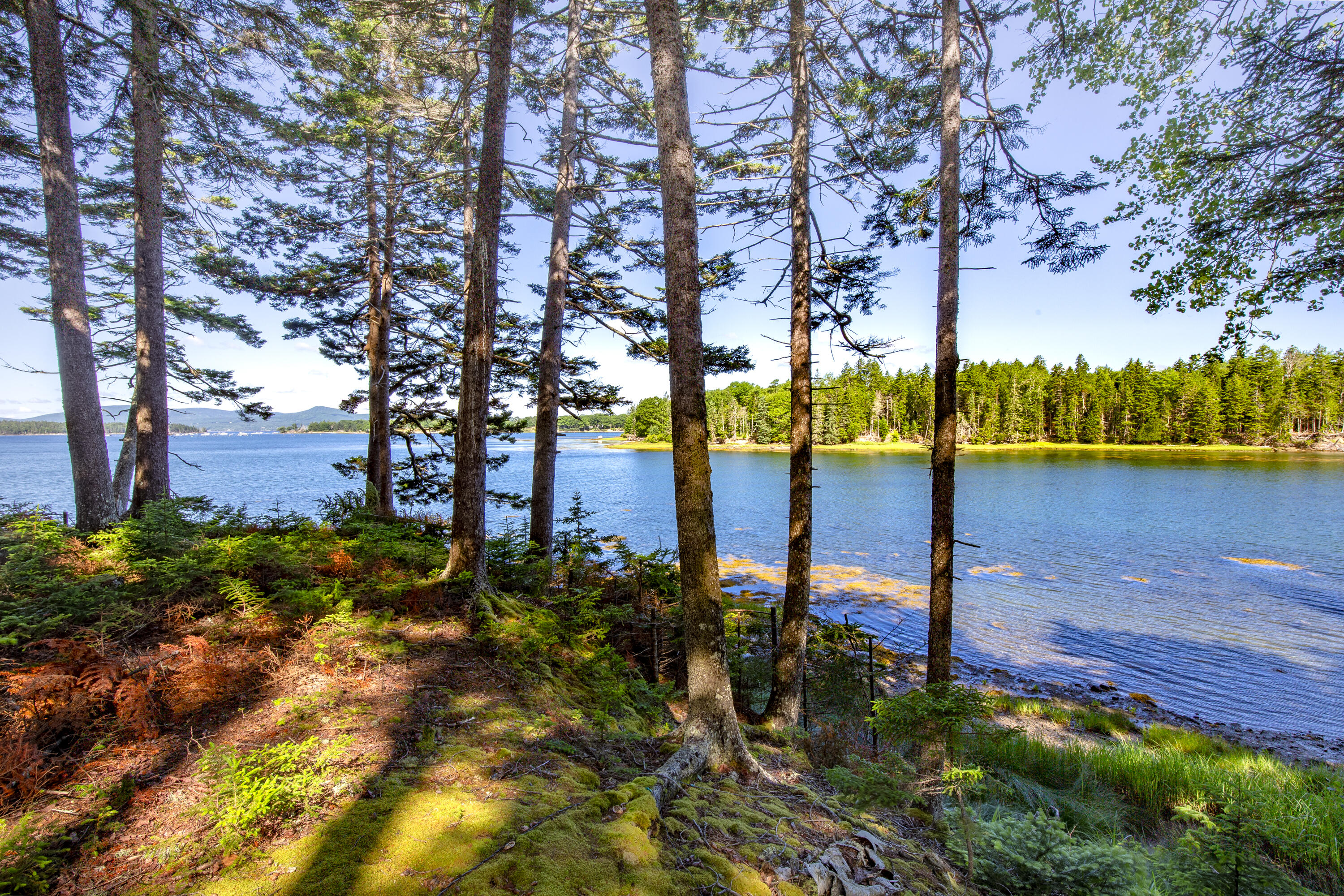 M15-l20-tbd Golf Club Road Islesboro, ME 04848 - Photo 26 of 41 18-0GolfClubRoad-Islesboro-KS