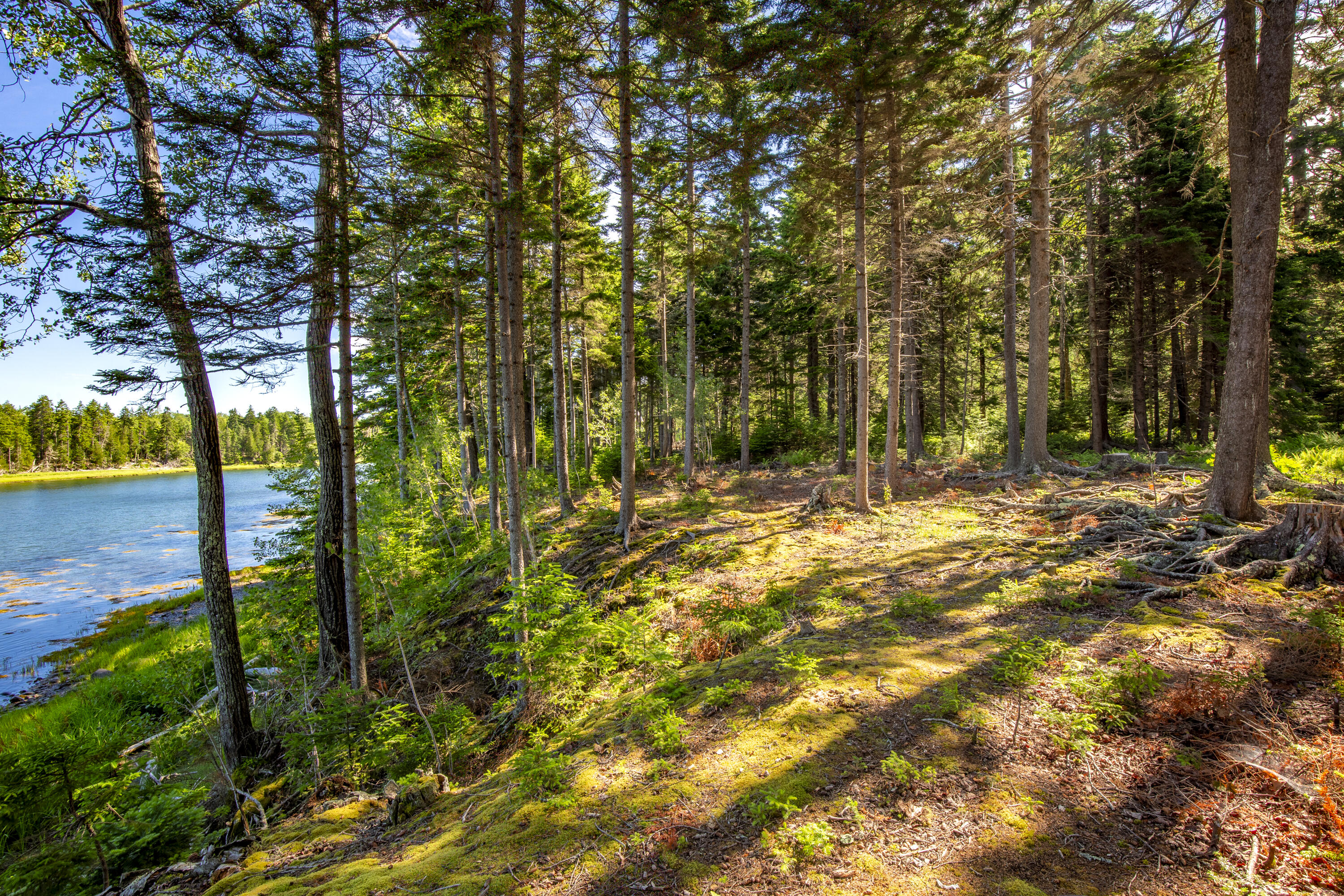 M15-l20-tbd Golf Club Road Islesboro, ME 04848 - Photo 27 of 41 19-0GolfClubRoad-Islesboro-KS