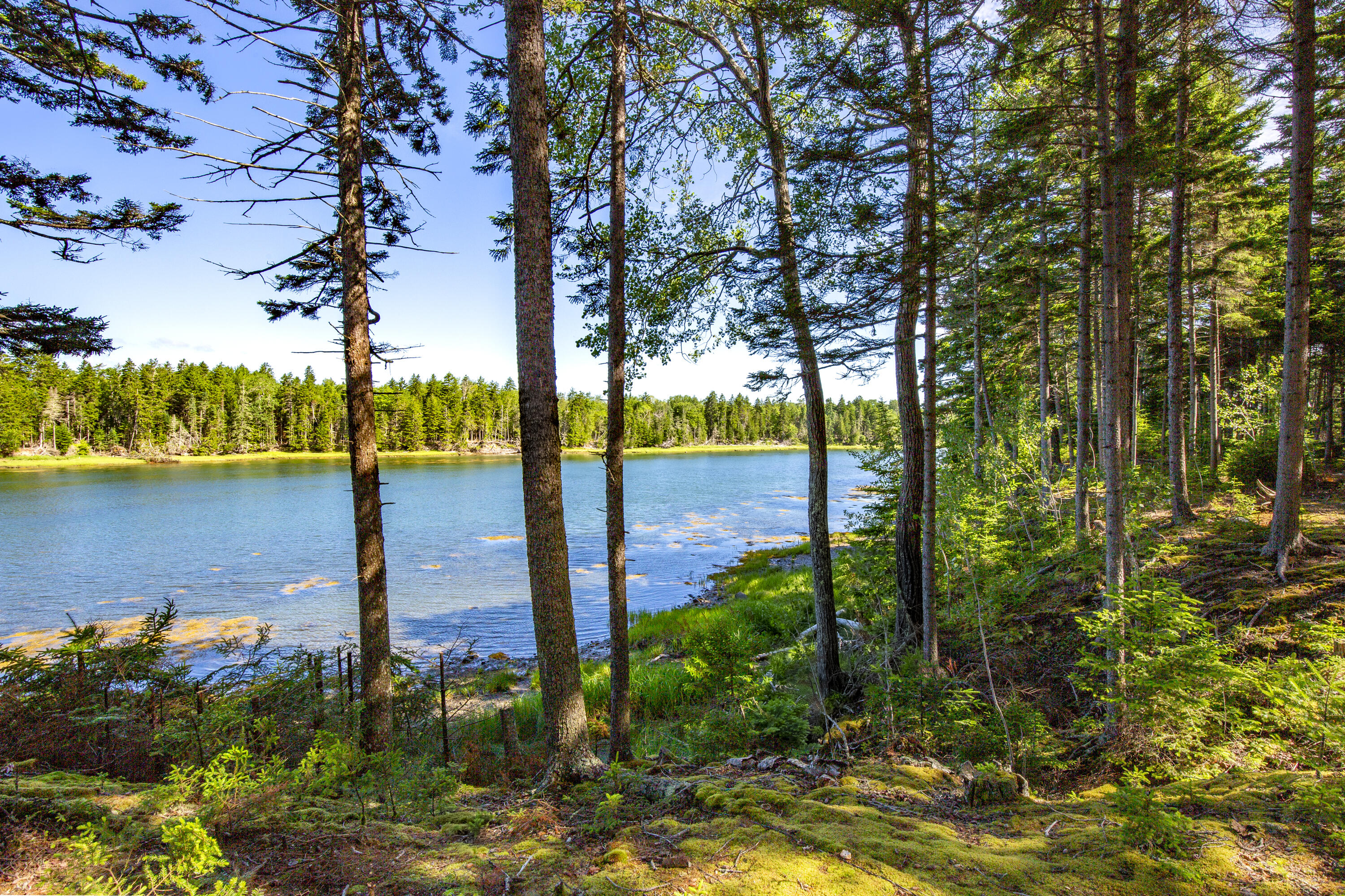 M15-l20-tbd Golf Club Road Islesboro, ME 04848 - Photo 28 of 41 20-0GolfClubRoad-Islesboro-KS