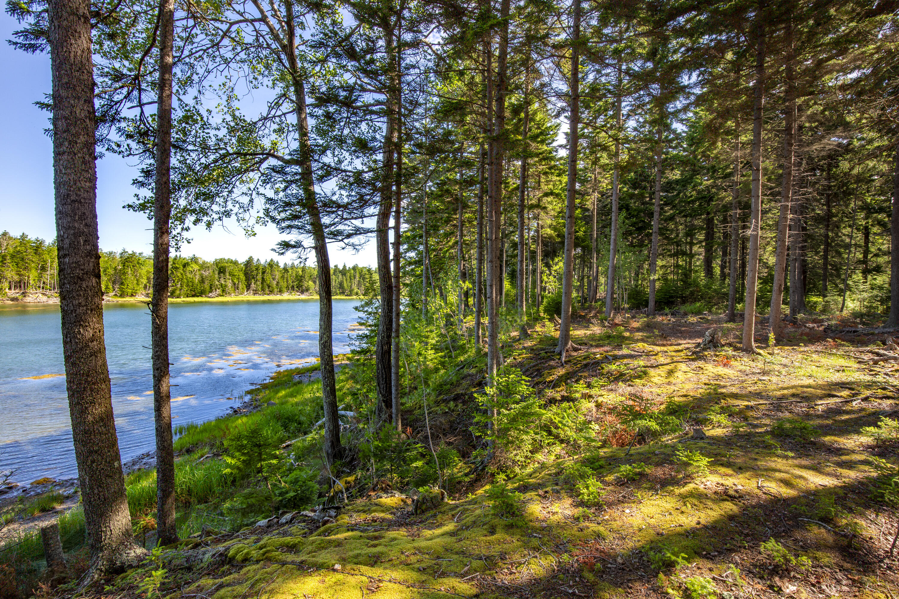 M15-l20-tbd Golf Club Road Islesboro, ME 04848 - Photo 29 of 41 21-0GolfClubRoad-Islesboro-KS