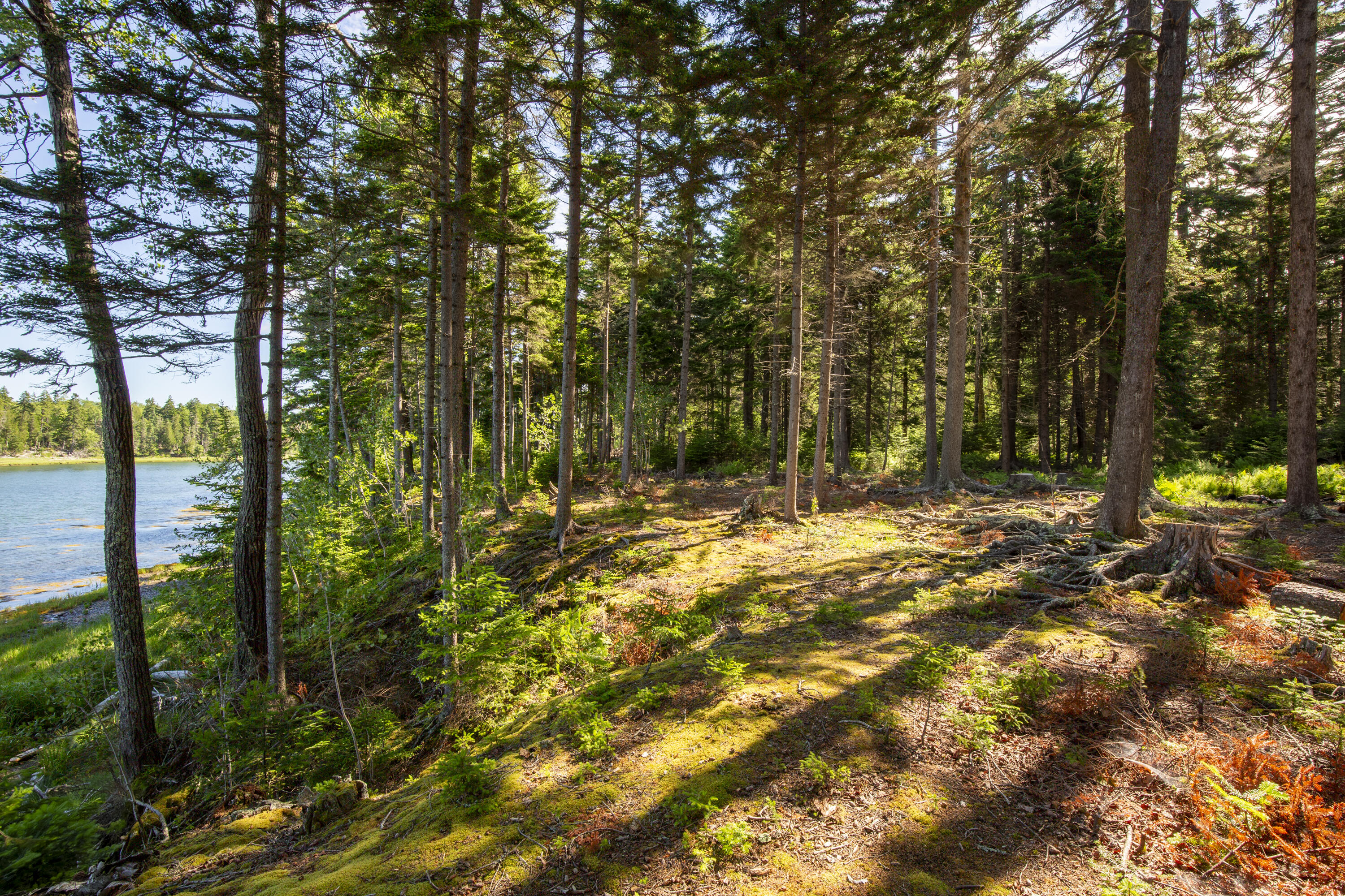 M15-l20-tbd Golf Club Road Islesboro, ME 04848 - Photo 30 of 41 22-0GolfClubRoad-Islesboro-KS