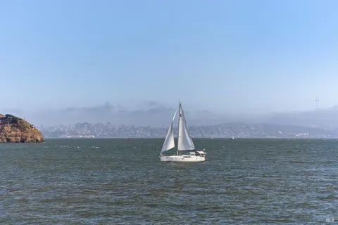 $6,877,000 | 2002 Paradise Drive, Tiburon, CA 94920