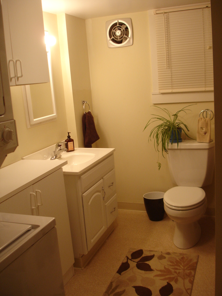 757 Simonds Road Williamstown, MA 01267 - Photo 5 of 9 Downstairs Bathroom