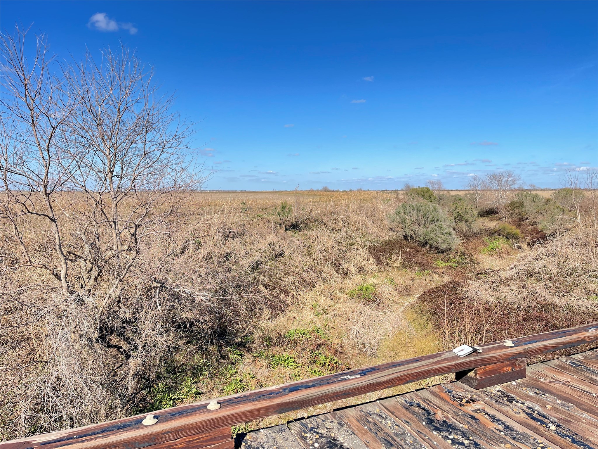 768 Million Dollar Road Palacios, TX 77465 - Photo 13 of 39