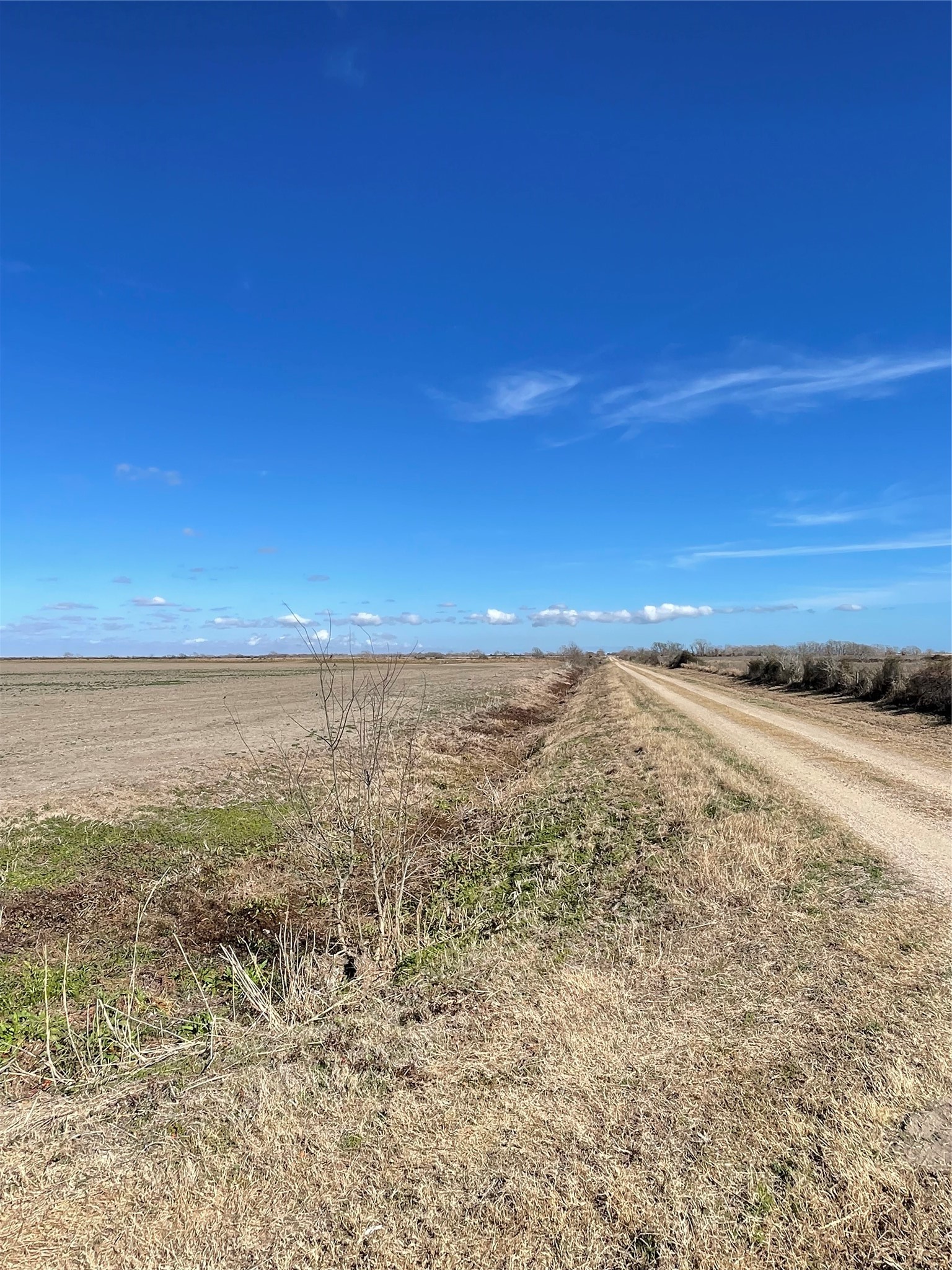 768 Million Dollar Road Palacios, TX 77465 - Photo 14 of 39