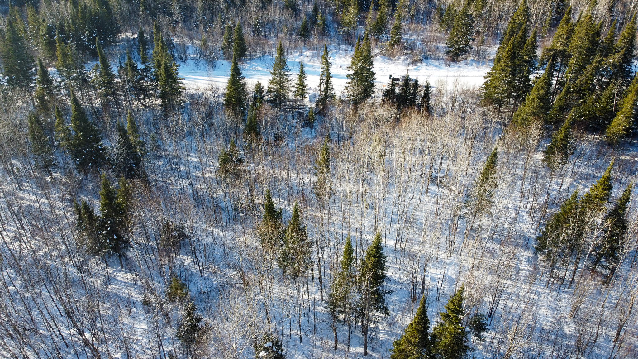 773 Wrightville Road Ashland, ME 04732 - Photo 2 of 21 DJI_0455