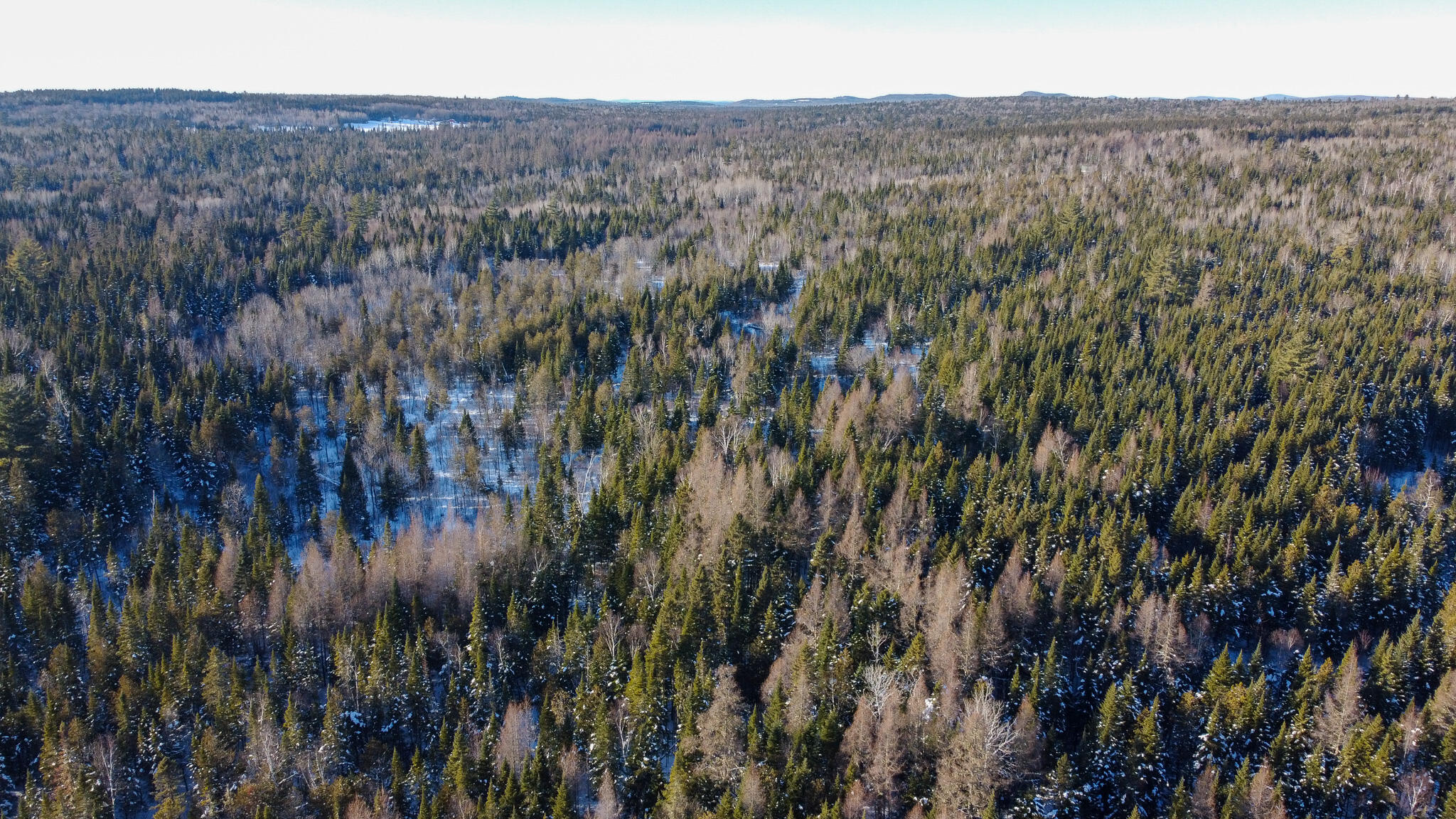 773 Wrightville Road Ashland, ME 04732 - Photo 6 of 21 DJI_0465